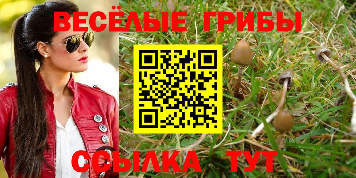 Псилоцибиновые грибы Psilocybe Верхний Уфалей